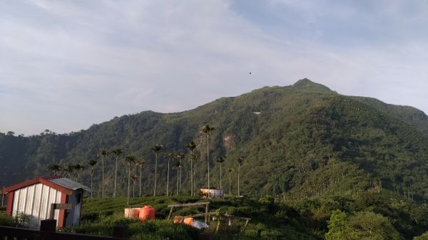 後棟仔山+挑筍古道+大尖山345527