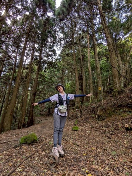 加里山（大坪登山口-杜鵑嶺-避難小屋）2767747