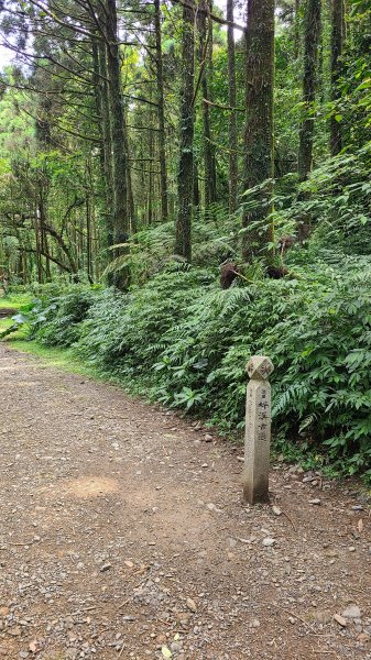 新北雙溪-坪溪古道2121433