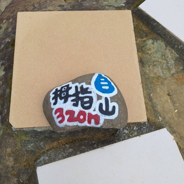 【貓貓自創路線】四獸山+南港山+九五峰+永春坡公園完成!2705816