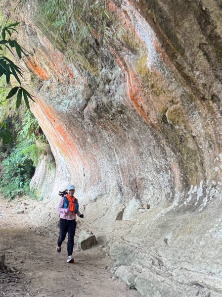 20250913_三峽鳶山爬山趣2882801