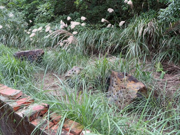 新北 金瓜石 煙囪山2981264