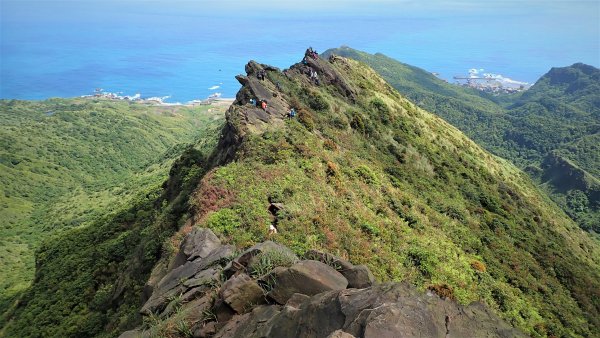 春末絕美山行劍龍路上劍龍鋸齒稜經牛伏礦體和哈巴狗岩出黃金池1674900