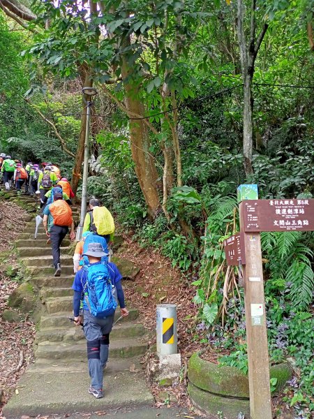 【臺北大縱走 5】捷運劍潭站→碧山巖；【小百岳集起來】#9 劍潭山 H153m1759439