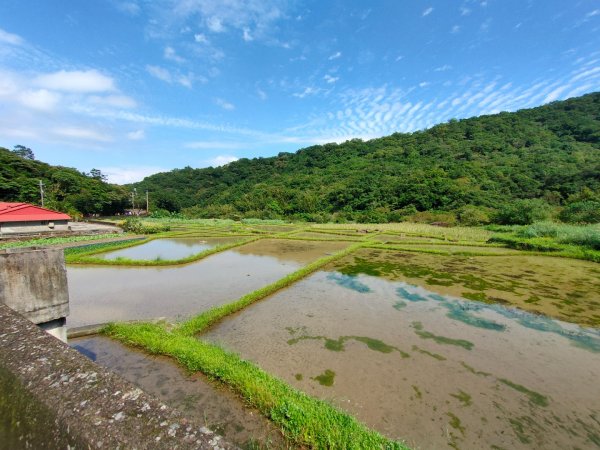 ［草嶺古道］（福隆~大里）（2023/11/1）2334770