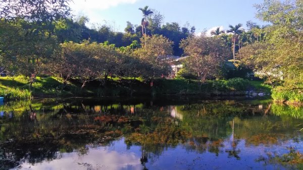 2018 12/2 拉索埃湧泉879504