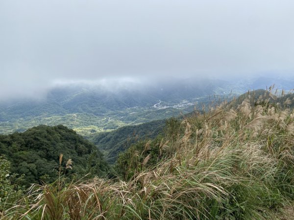2023/12/14 碇內尖山 龍門山 五分山 淡蘭古道中路2399819