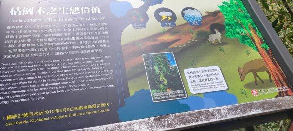 拉拉山國家森林遊樂區2752261