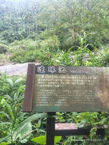 瀑布3116655