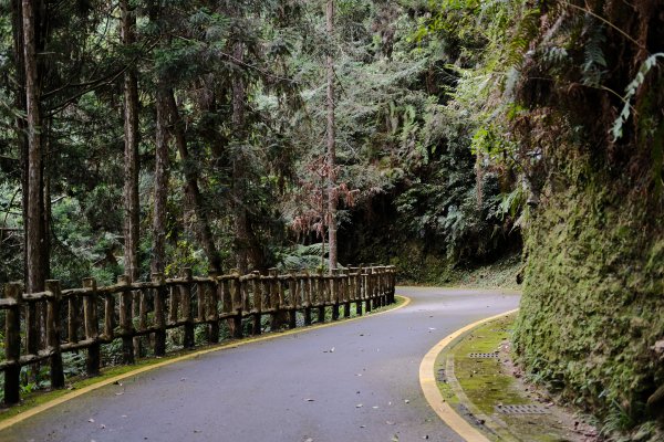 【高雄-小百岳】藤枝山771110