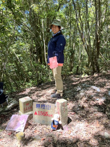 藤枝山3061248