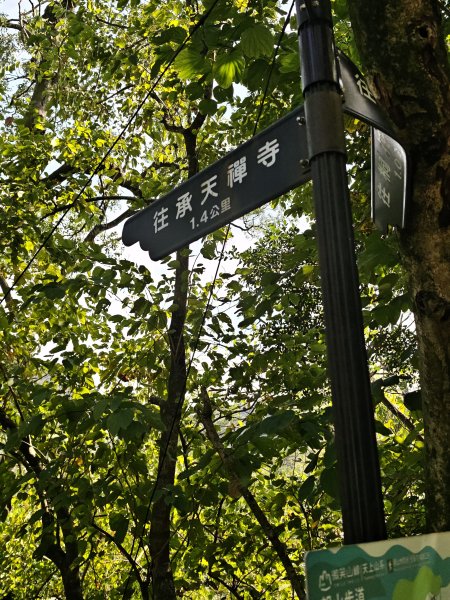 2026-0221造鎮-太極嶺-桐花公園-承天禪寺-永寧站3005813