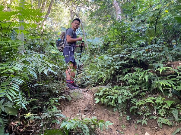 金面山.金山面山.十三份山.山麻坑山【暗藏玄機 不容你小覷的郊山縱走】2384829