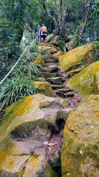 微笑山⛰️線-大棟-二格山-五分山-天上山-鳶山💎12條步道完成💙2841379