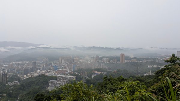 霧染大尖3074585