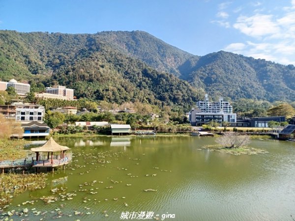 【南投埔里】天旨宮鰲頭山步道x虎頭山鯉魚潭步道x虎頭山觀景平台連走2988497
