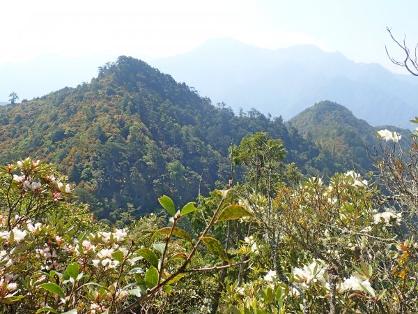 攀登平石山-(40年來第1次刁山)584750