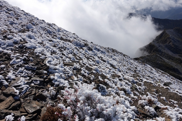 1051216~19雪山主東北下翠池80534