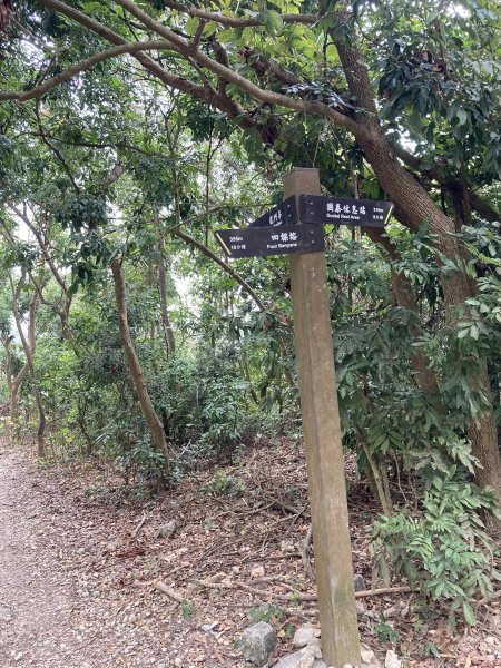 20260221高雄壽山+愛河灣3003348