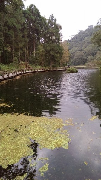 福山植物園964660