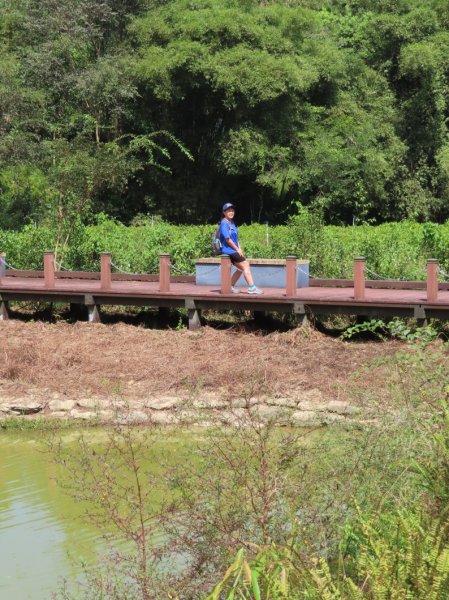 澀水森林步道(+水上瀑布)2915718