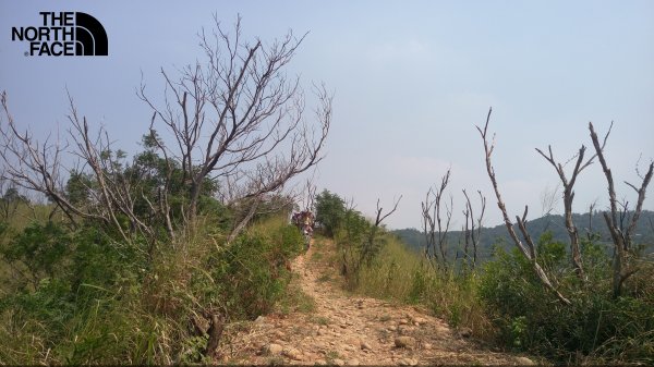 北面無痕山林體驗日－台中萬里長城場421171