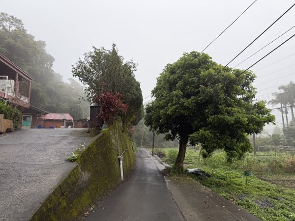 [樟之細路_第一大段RSA05] 2026_0329 石門大圳3027189