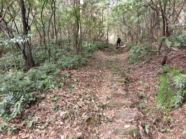 基隆市三層山+湳子大崙+淡基橫斷古道+面桶寮土地公2982235