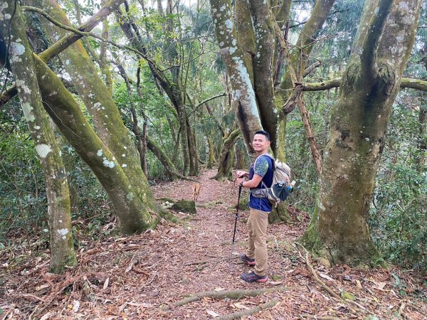 望鄉部落.獵人古道.望美山.瓊山【人與自然山林的恩怨情仇】2731401