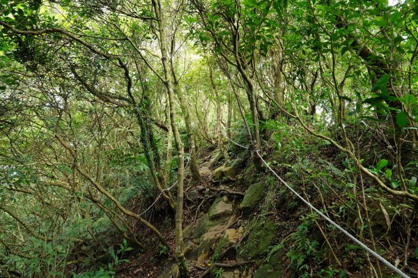 臺北 二格山、南邦寮山、阿柔洋山2570415