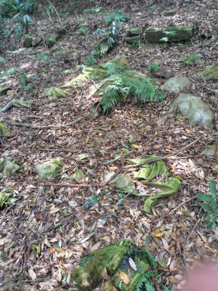 南東眼山連走有勝山2918755