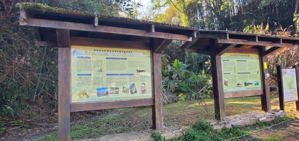 2025-01-30瑞太古道2704360