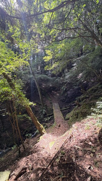 悠遊林鐵遺跡2878125