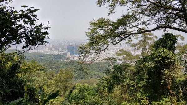 南港山縱走九五峰921023