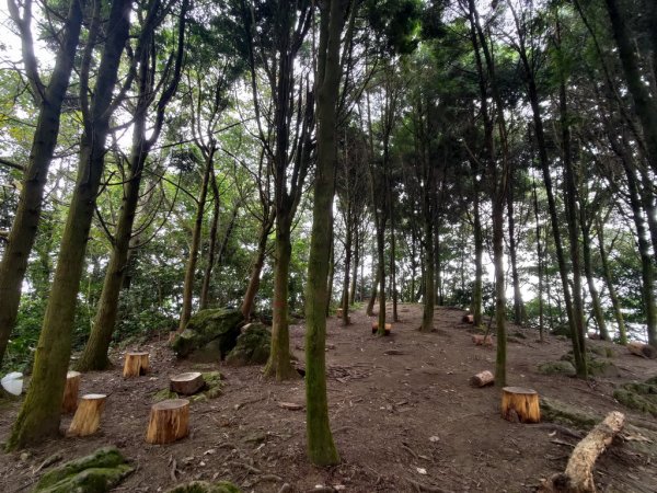 【新竹縣北埔鄉】五指山步道2833634