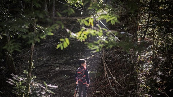 霞喀羅大山（石鹿大山）｜淺嚐霞喀羅古道封面