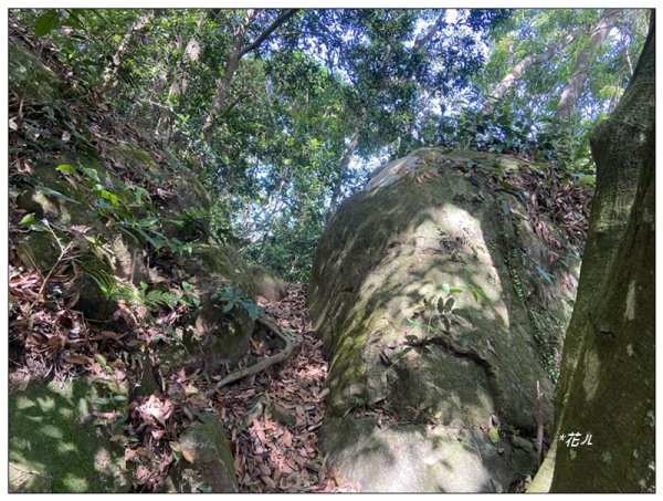 赤柯山、赤柯山南峰、東獅頭山 O型路線2785422