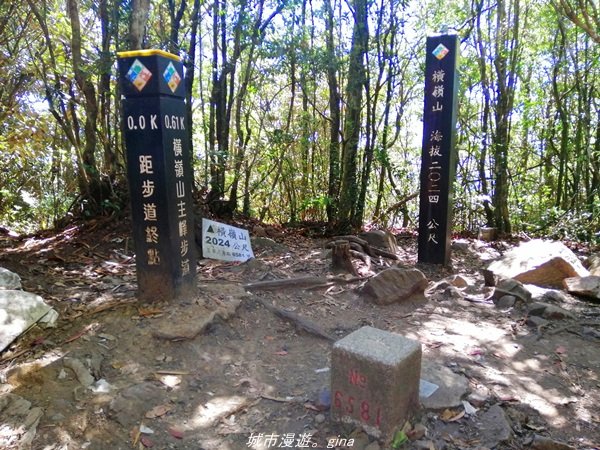 【台中。和平】綠蔭杉林大口森呼吸。 橫嶺山自然步道x橫嶺山主峰1497919