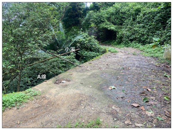 大克山 南稜線A上B下 (卓蘭最高峰)2825452