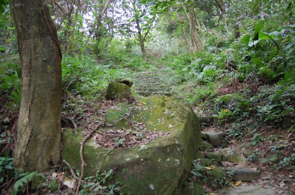 深坑炮子崙步道1960558