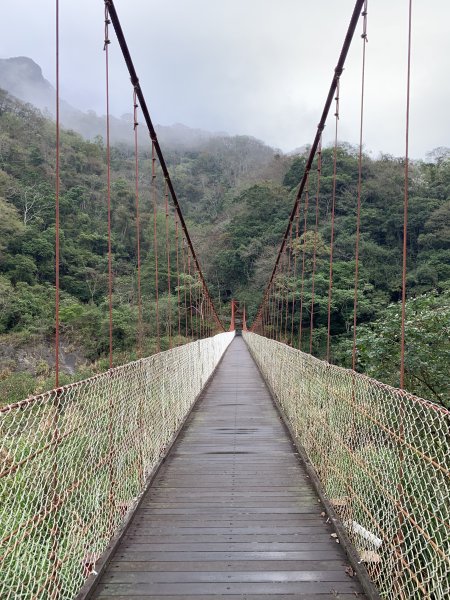 【中級山】明知山沒虎，偏向虎山行2441947