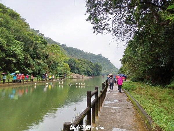 【宜蘭三星】湖光水色。 長埤湖風景區(環湖步道)2024877