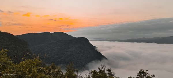 #翡翠水庫壩頂 #月亮 #日出 #雲海 #藍腹鷴母鳥 5/8&133050280