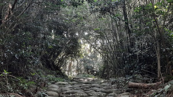 《新竹》湖口老街｜金獅古道O繞茶香及仁和步道202412062663713