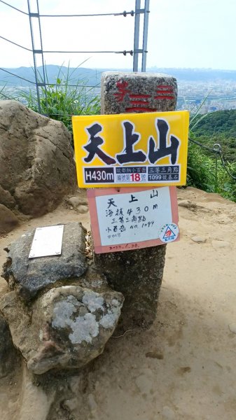 賞桐秘境(石門路-天上山)2135904