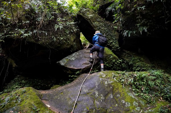 新竹石牛山步道｜小百岳2756522