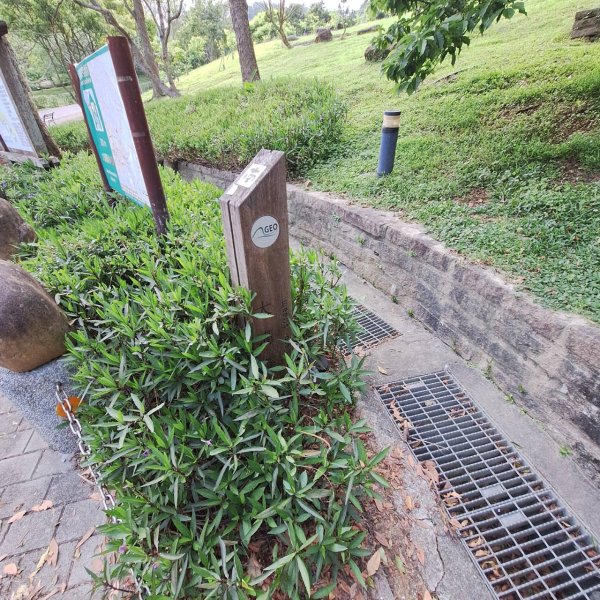 2025臺北大縱走第四段-風櫃口至大湖公園完成2761177