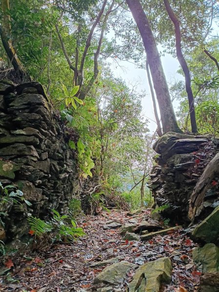 2025 12/27 鳴海山2971000