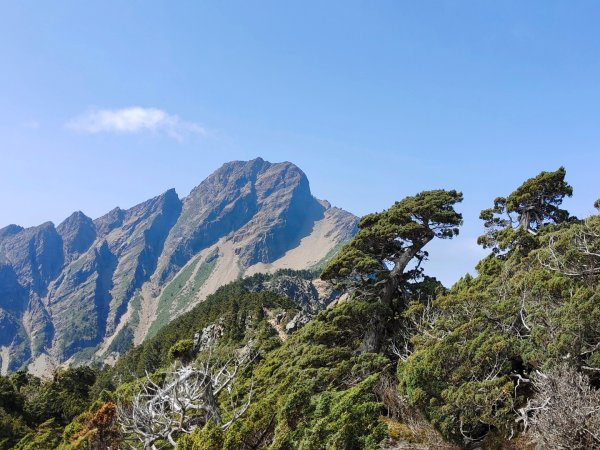 終於看到1000元背面的山景登頂玉山北峰／前峰2495968
