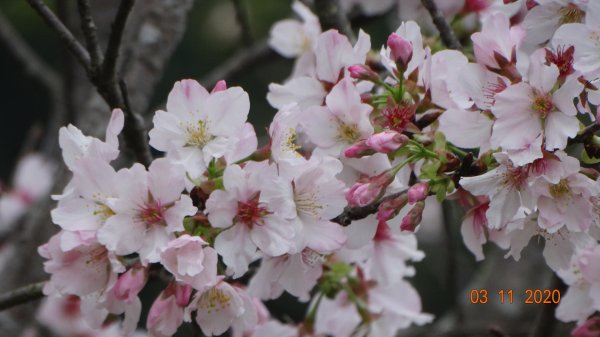 沒有意外，再度槓龜 !876569